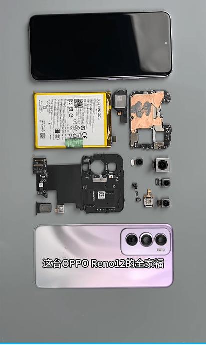 opporeno掉水里会坏吗截图