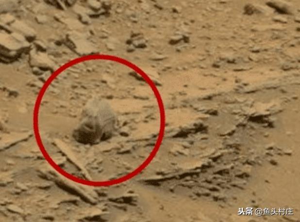 火星人存在吗