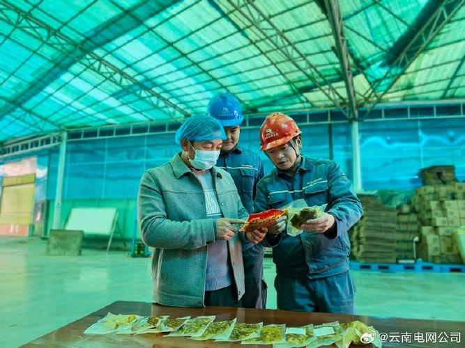南方电网何晓冬照片图标