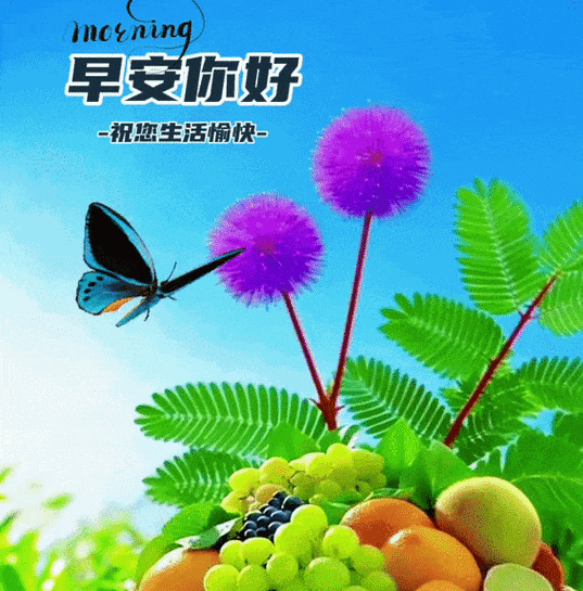 天天发问候正常吗