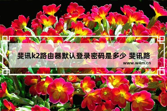 斐讯路由器k2初始密码图标