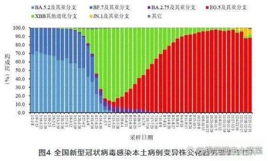 2023年12月SSIS最新