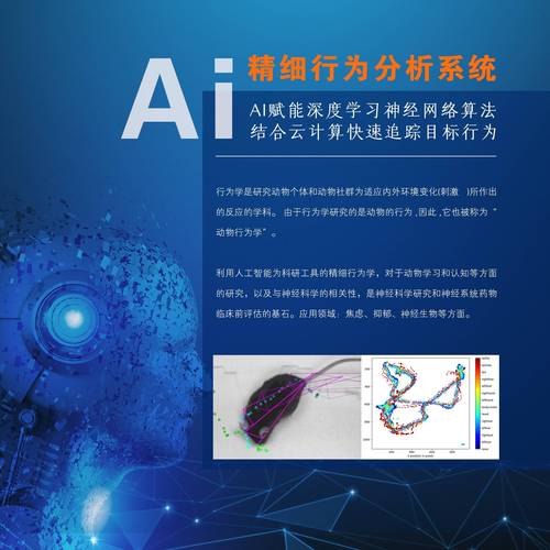 ai分析软件图标