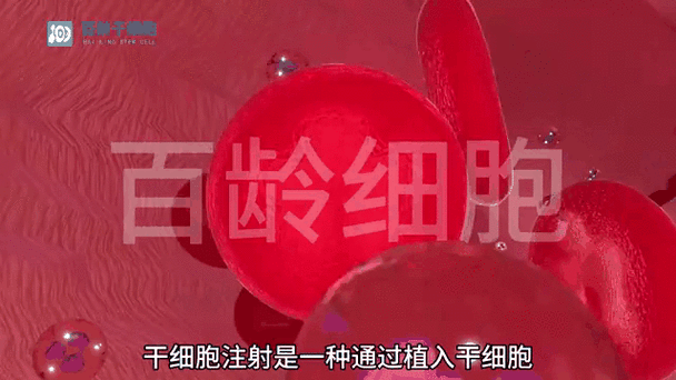 干细胞多久打一针