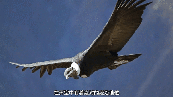 类似庞然巨物的飞船游戏图标