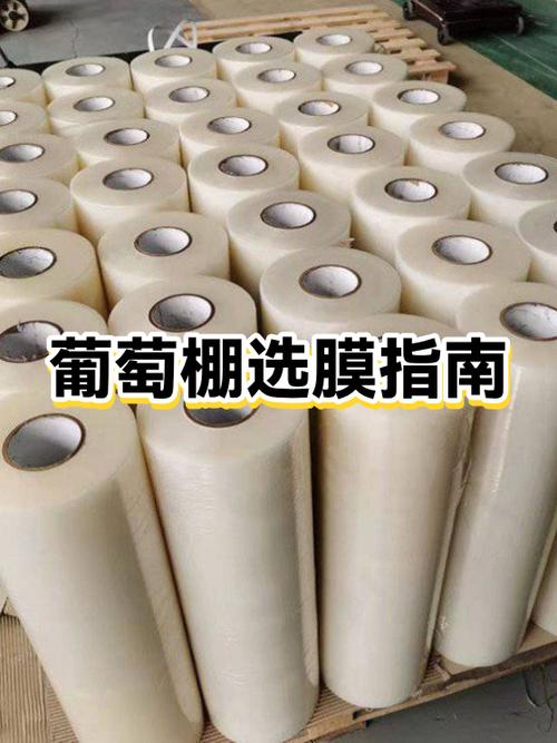 是钢化膜好还是水凝膜好图标