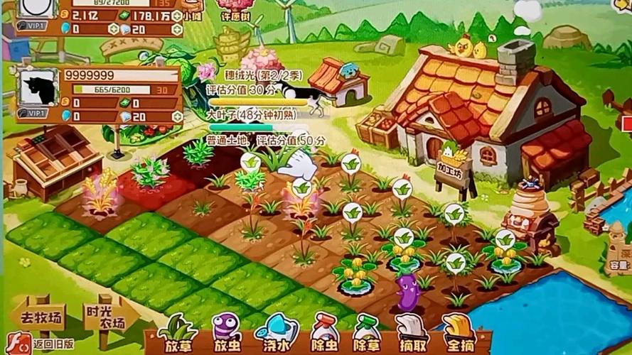 qq农场种什么植物经验最多