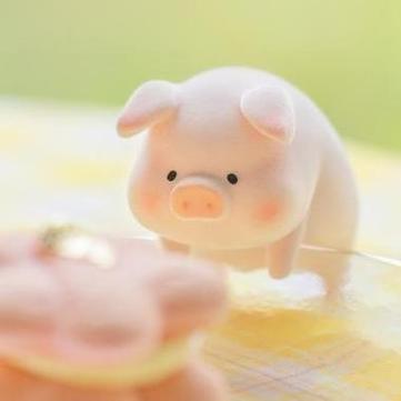 萌猪头像可爱图片图标