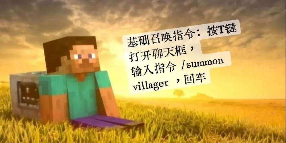 怎么用指令召唤村民截图