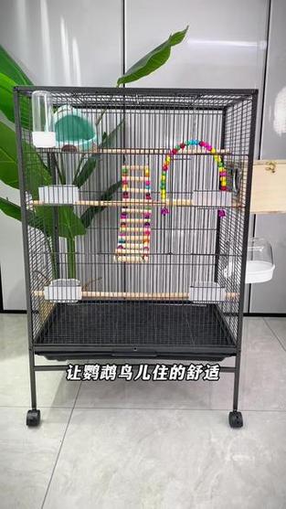 50x40x30的笼子养虎皮鹦鹉