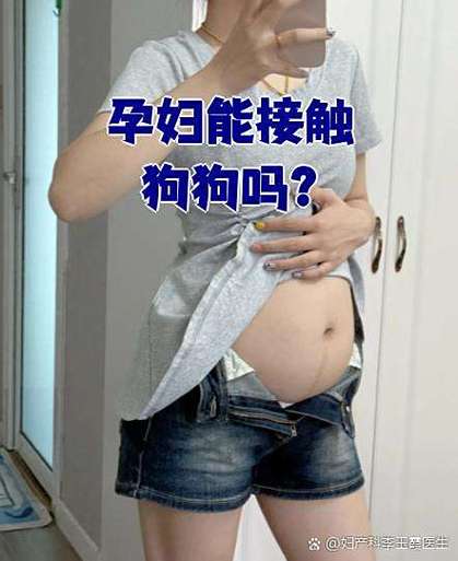 怀孕不能跟狗狗接触吗