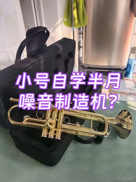 自学小号难不难