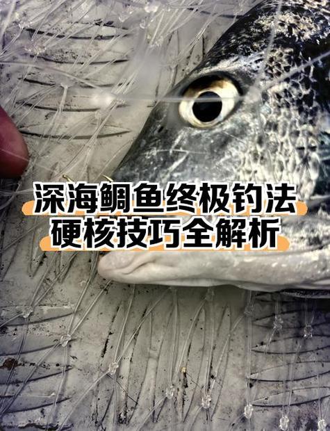 手机屏幕浮标圆圈如何去掉