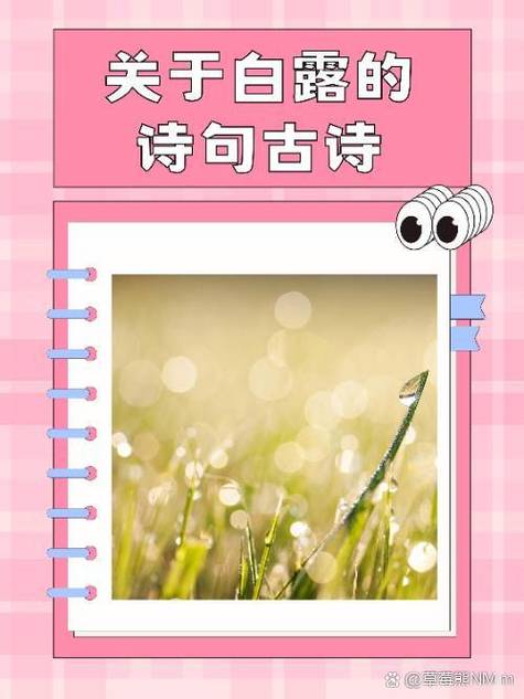 古诗大全6句诗缩略图