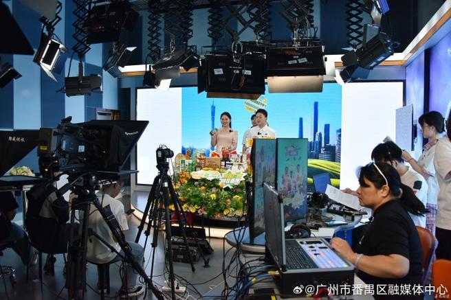 广州电视台直播入口