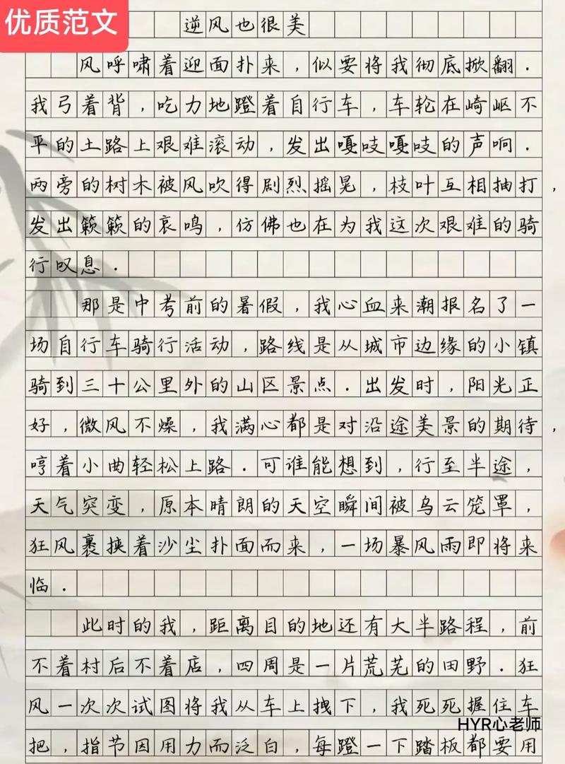推特冻结申诉范文缩略图