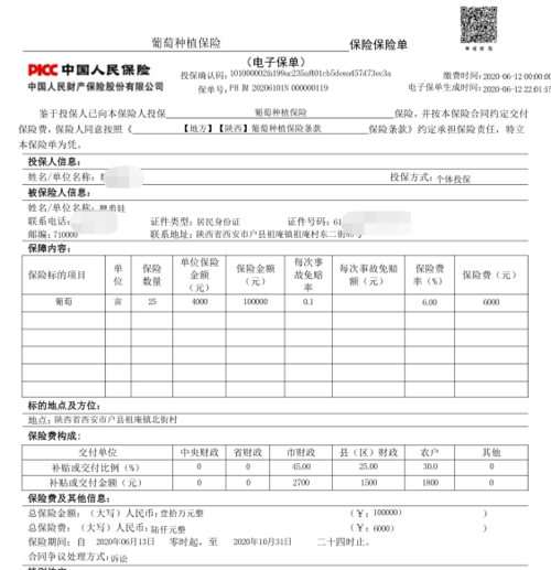 农业保险保单查询