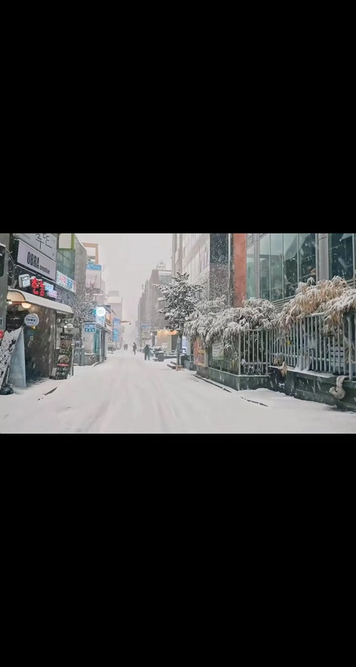 北方的雪飘不到南方是什么歌截图