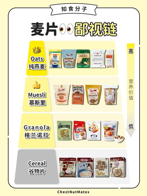 麦片屏幕翻译免费版