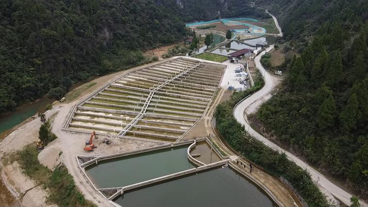 贵州鲟鱼最多三个地方是哪里
