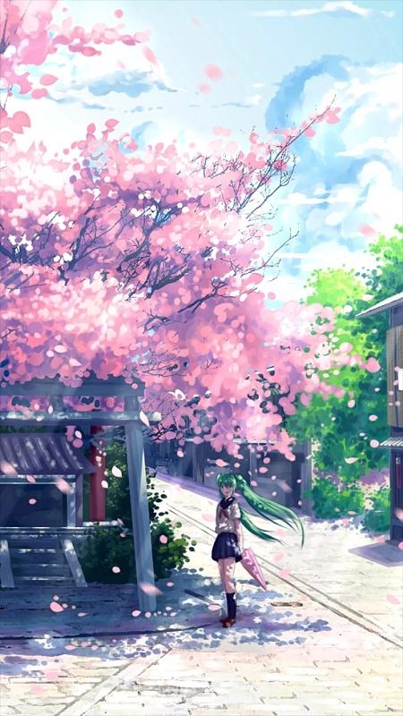 告白樱花动漫截图