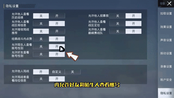 和平精英可以隐身玩吗