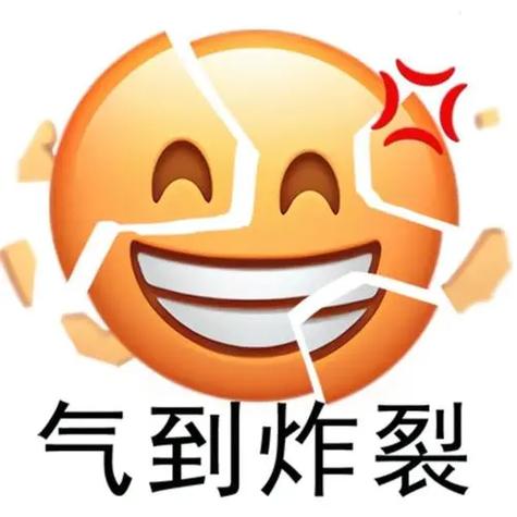 气到爆炸的表情图