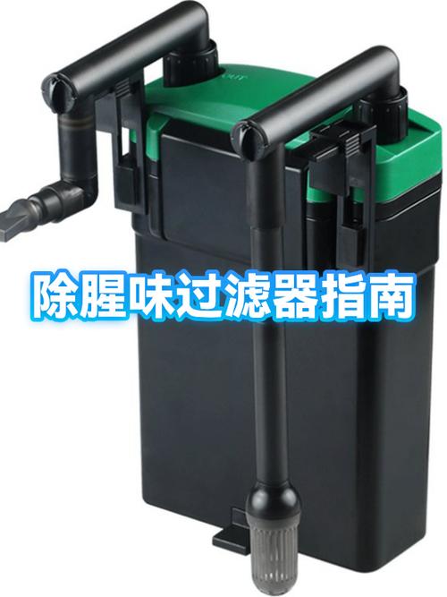 鱼缸去腥味小窍门