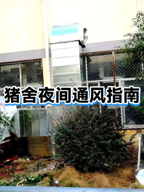 猪舍通风10大忌