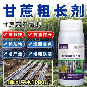 甘蔗用什么肥长得快又甜图标