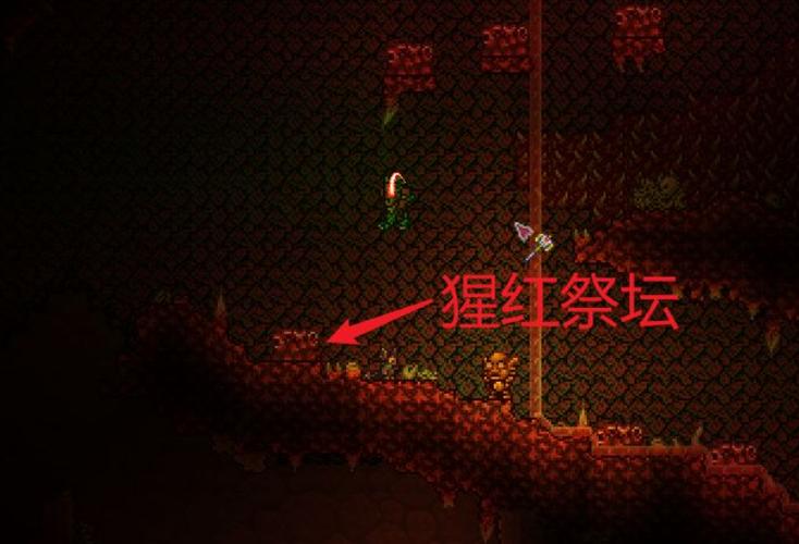 泰拉瑞亚增加血量
