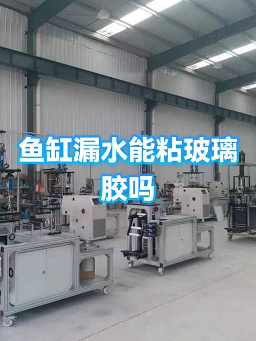 鱼缸漏水二次补胶教程