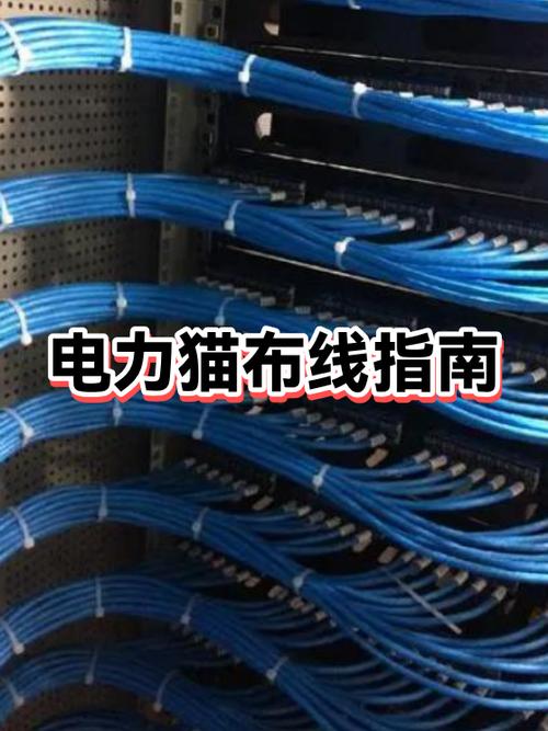 电力猫使用教程