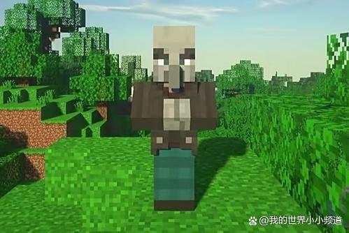 为什么卫道士恨村民