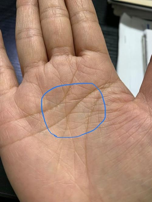 手掌心掌纹