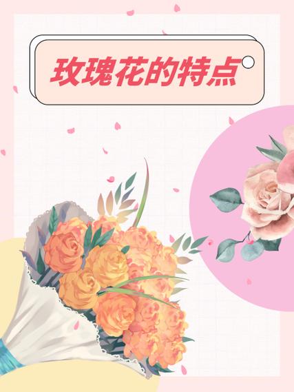 玫瑰花怎么送不起来