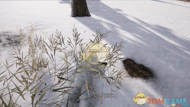 训练场的雪地吉服在哪