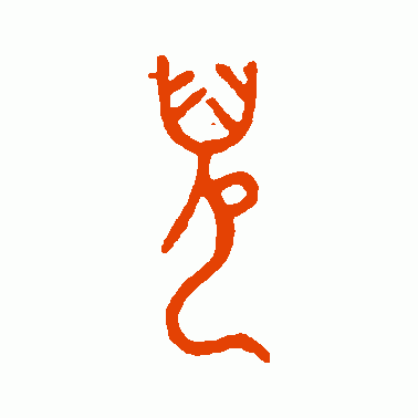 秀儿解说截图