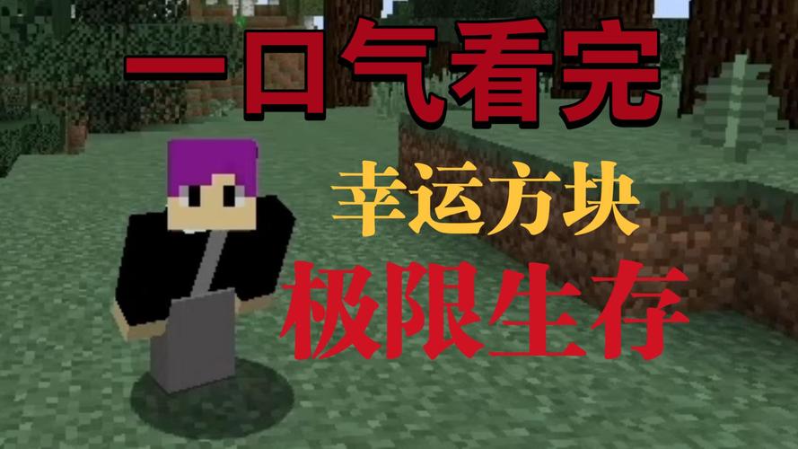 一口气看完幸运方块生存缩略图