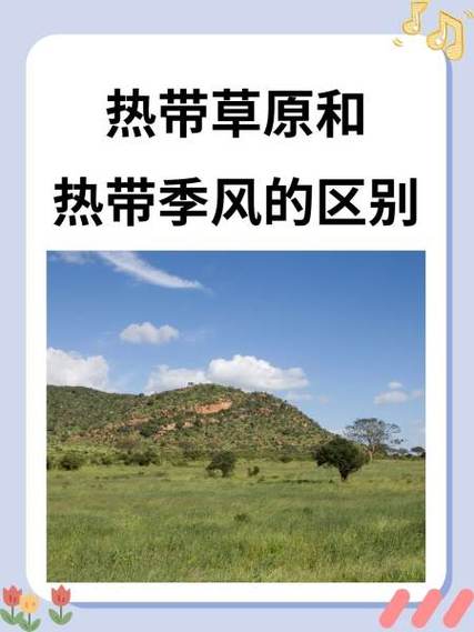 我的世界热带草原地形指令