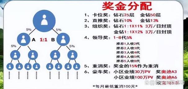 直销完美模式公布