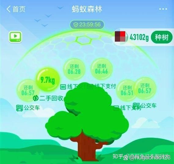 支付宝步数蚂蚁森林缩略图