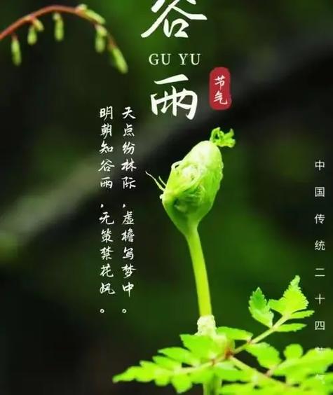 26年谷雨是几月份几号