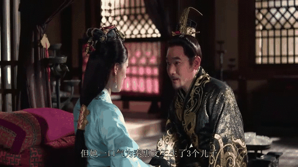 芈月是嬴政的谁游戏截图
