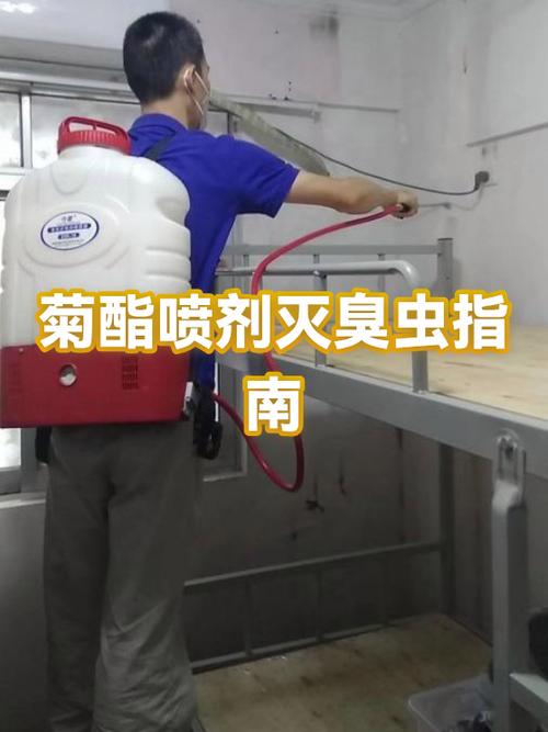 家里有臭屁虫怎么办能除根