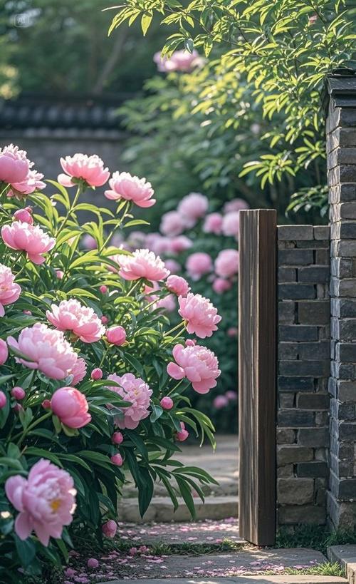 花朵的仿写缩略图