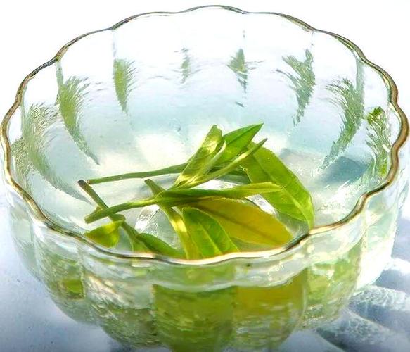 绿茶的魅力