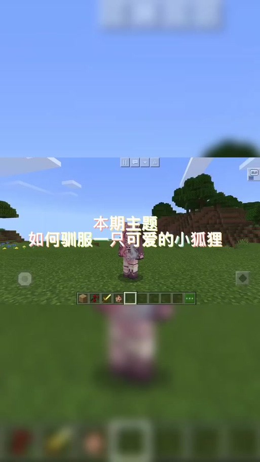 我的世界网易版如何驯服狐狸