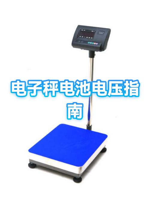 电子秤的电压是什么意思