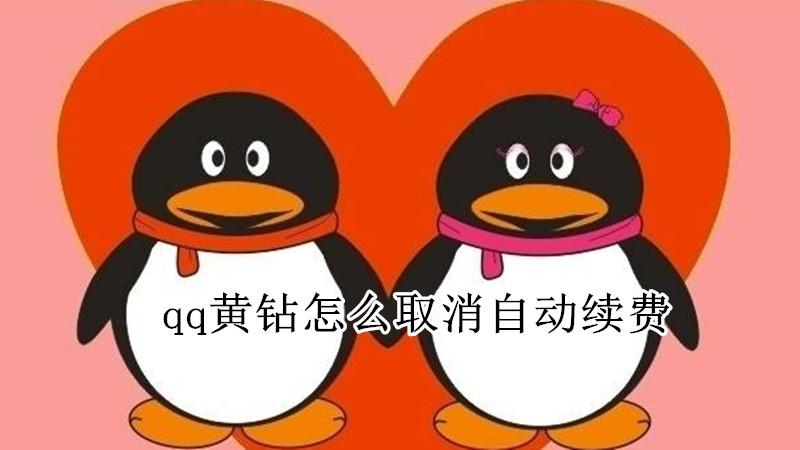 如何马上取消黄钻业务